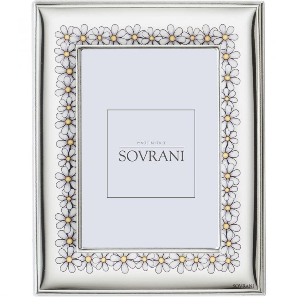 cornice-in-argento-sovrani-w973_537638-768x768.jpg