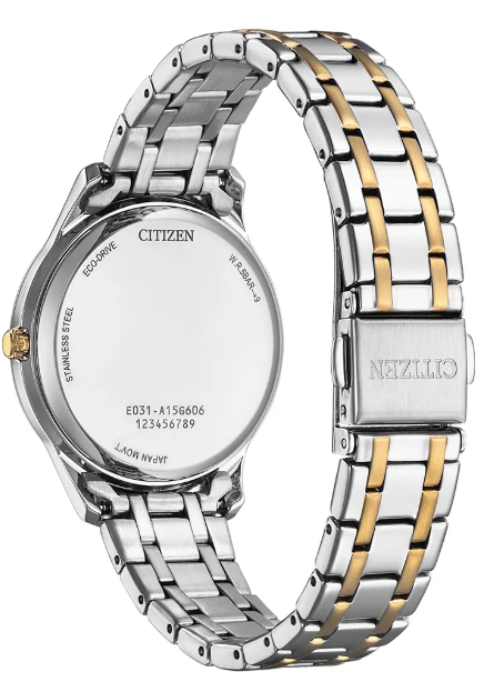 Screenshot 2025-02-19 154238.png